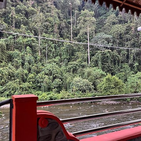 Ridho'S Homestay & Jungle Trekking Bukit Lawang Exterior foto