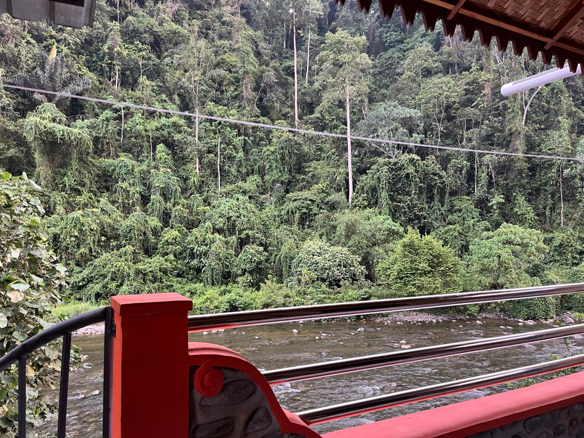 Ridho'S Homestay & Jungle Trekking Bukit Lawang Exterior foto